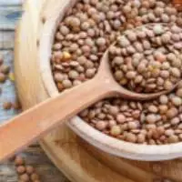Lentils Seed