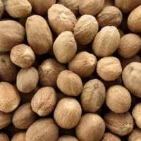 Nutmeg