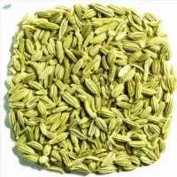 Fennel Seed