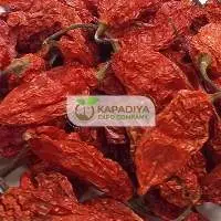 Ghost Pepper Exporter From India