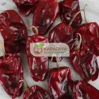Bholar Chili Exporter from India