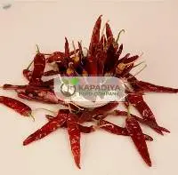 Red Chili Exporter from India