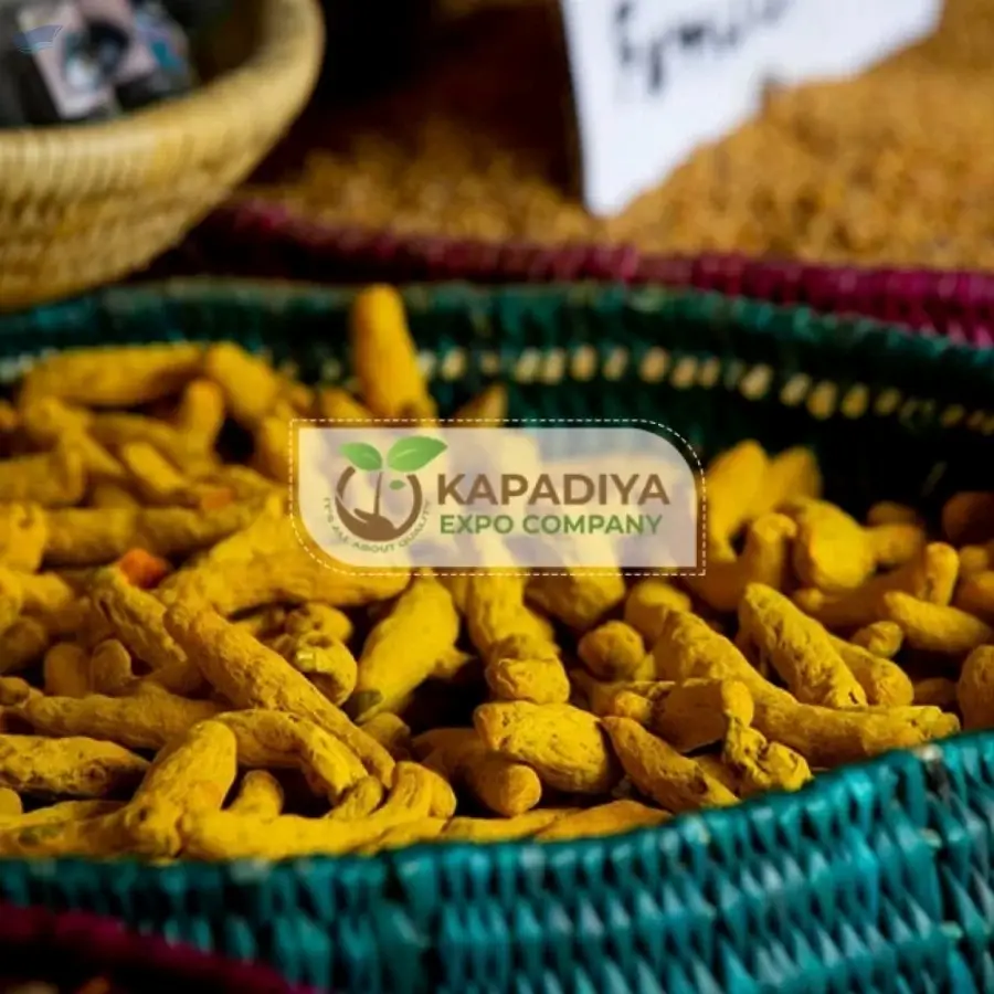 Salem Turmeric Finger Exporter from India