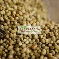 Coriander Seed Exporter from India