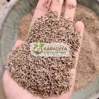 Singapore 99 Cumin Seed Exporter