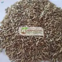 Europe Cumin Seed Exporter