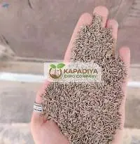 Kalash Bold Cumin Seed Exporter