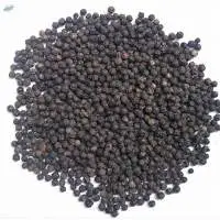 Black Pepper  