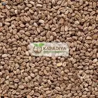 Celery Seed  