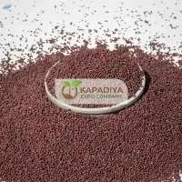 Black Mustard Seed  