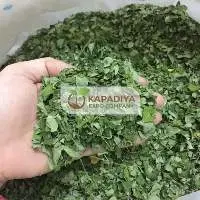Moringa Dried Leaves