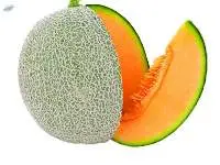 Cantaloupe - Melons