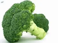 Fresh Broccoli