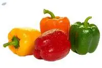 Fresh Capsicum