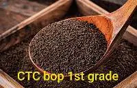 CTC Tea Bop 1st Grade