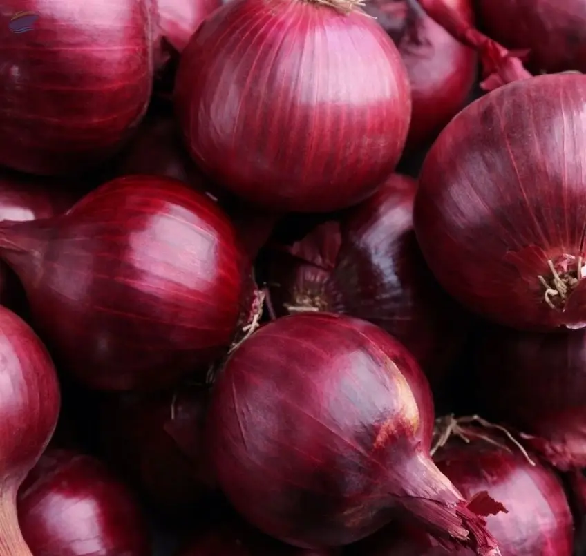 Red Onion