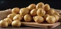 Potato