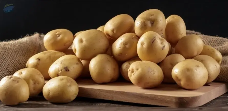 Potato
