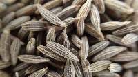 Organic Spices