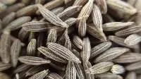 Organic Spices