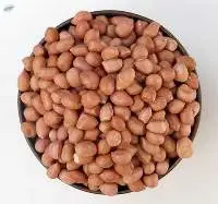 Oil Seeds