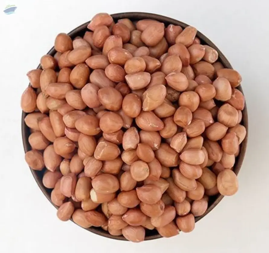 Oil Seeds