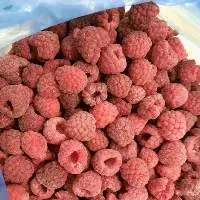 IQF Raspberry