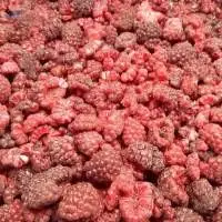 IQF Natural Crumble