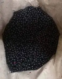 IQF Chokeberry (Aronia)