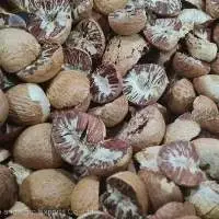 Round And Split Betel Nuts