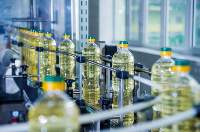 Sunflower Oil