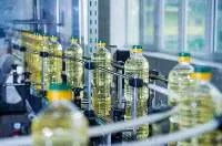 Sunflower Oil
