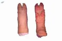 Frozen Pork Feet