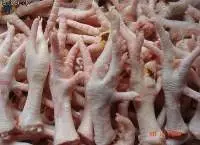 Frozen Chicken: Grade A: HALAL, ISSO, FSSC