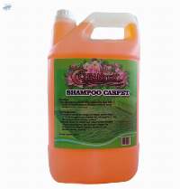 Shampoo Carpet