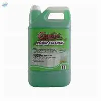 Floor Cleaner