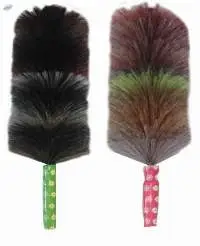 Feather Duster