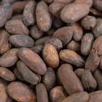 Dry Fermented Cocoa Beans