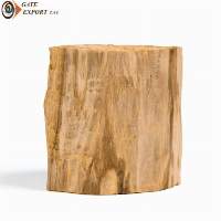 Peruvian Palo Santo Trunks