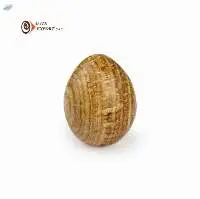 Aragonite Stone Egg Shape
