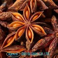 Star Anise