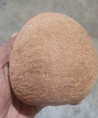Dry Copra