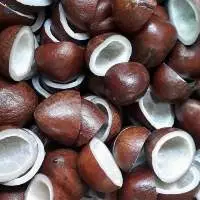 Dry Half Copra