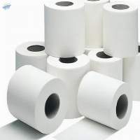 Toilet Paper