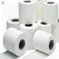 Toilet Paper