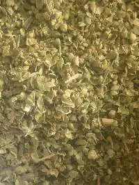Oregano