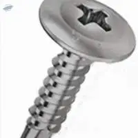 Screw