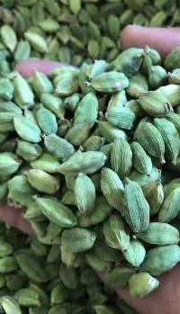 Cardamom