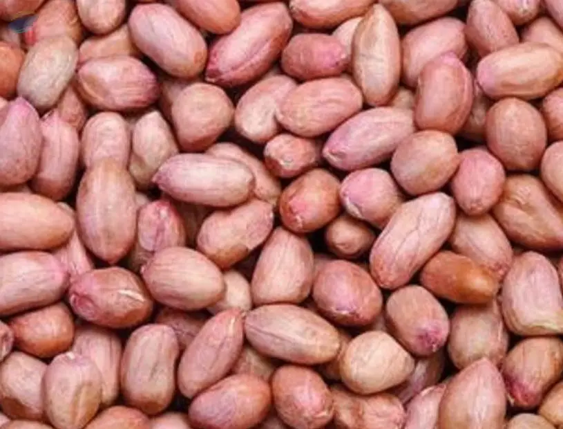 Peanuts Hps