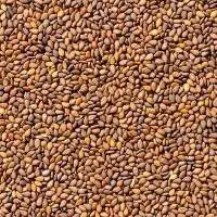 Red Sesame Seeds